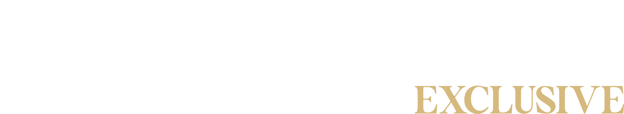 Rijkstaete logo